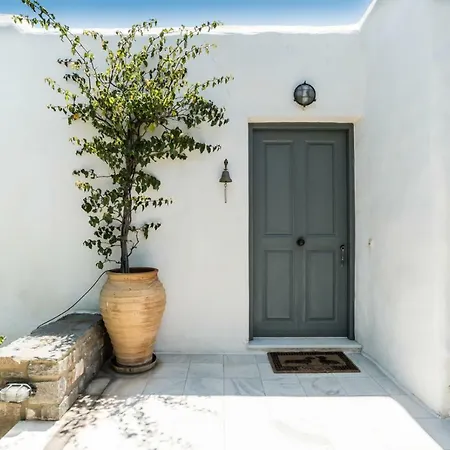 Mediterra *